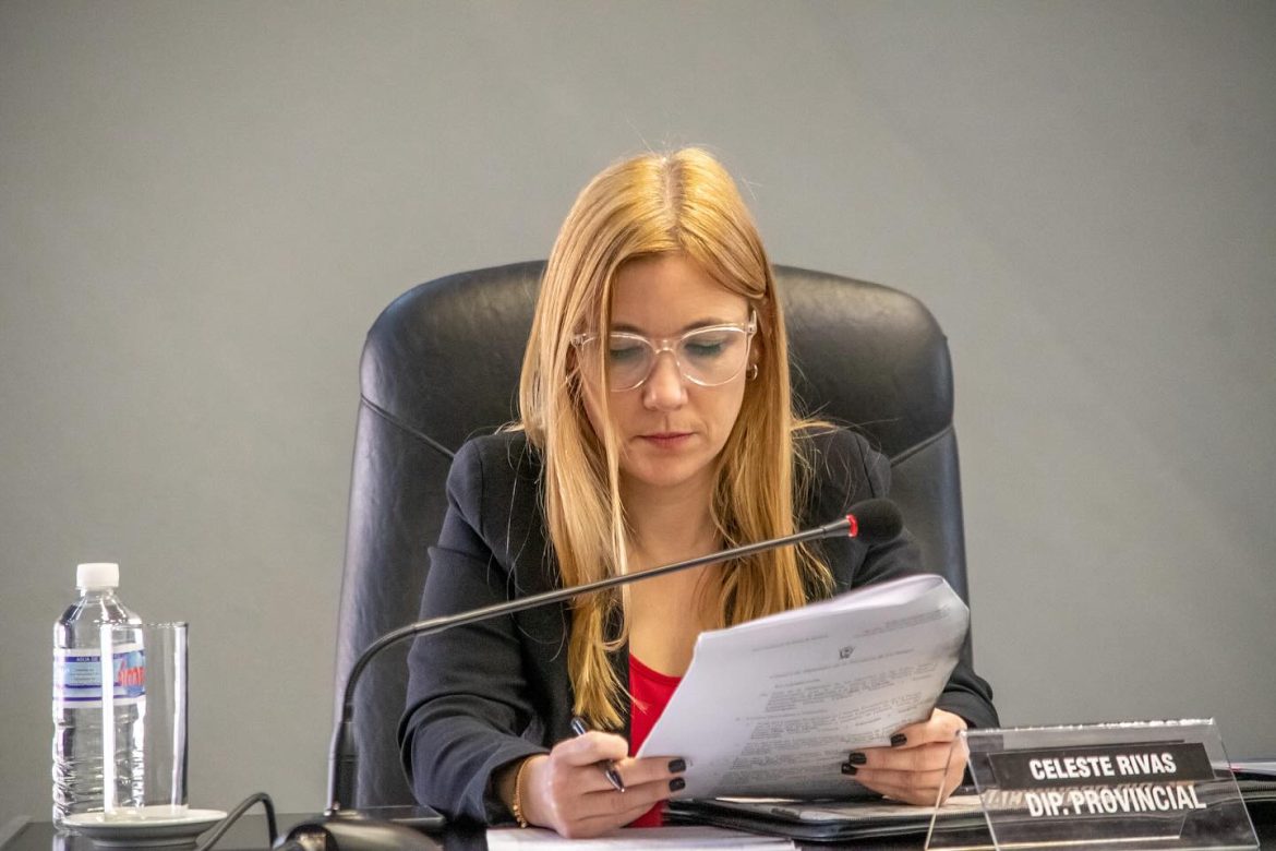 Dos diputadas admiten que cobran en negro y se reinstaló la discusión: ¿Ahora sí la Legislatura elimina los gastos reservados?