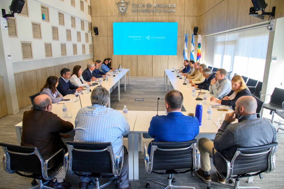 Barrera sanitaria: la declaración conjunta de Gobierno, ruralistas y frigoríficos ante Nación