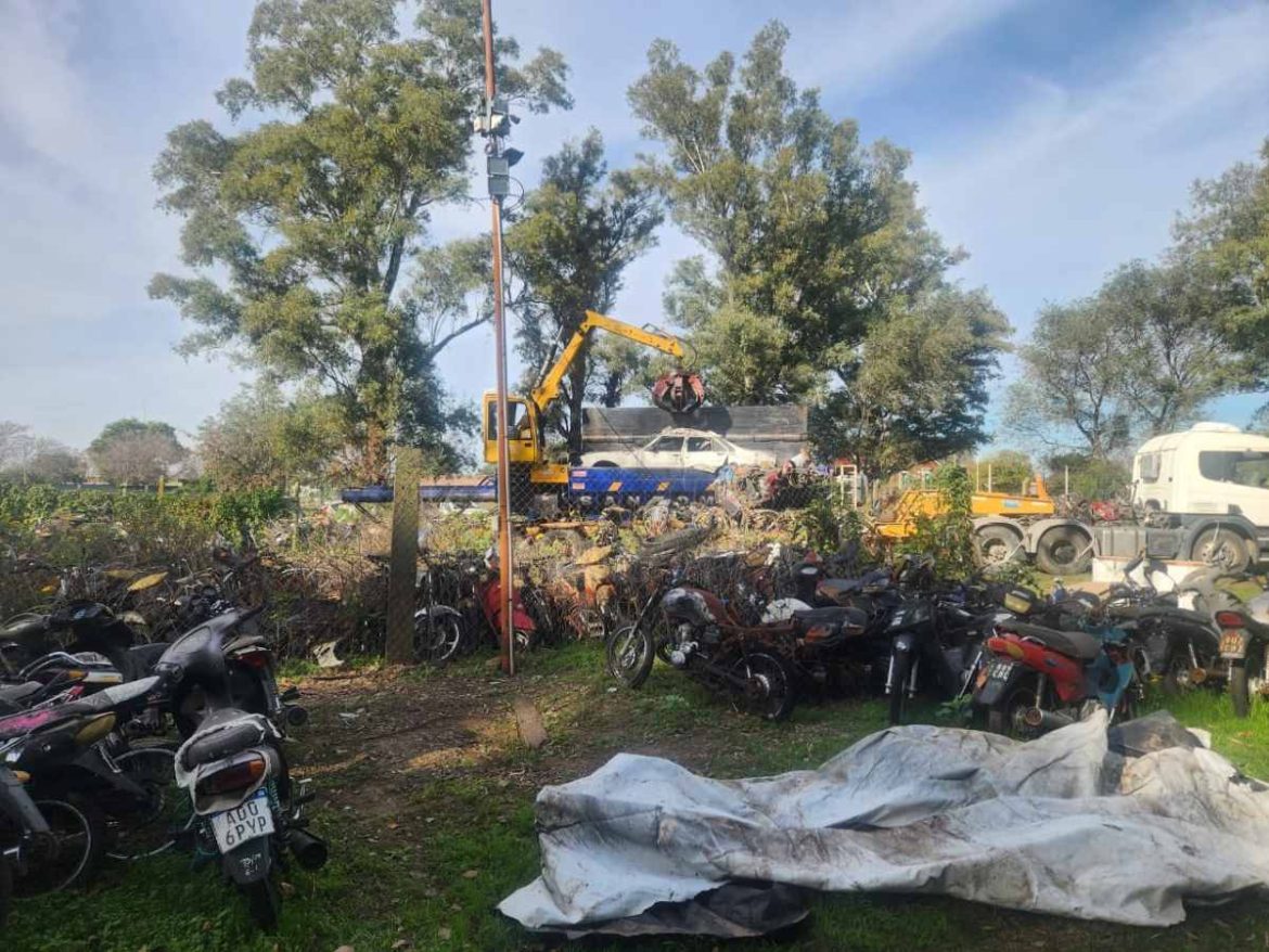 Medio ambiente: la Justica compactó vehículos en Pico