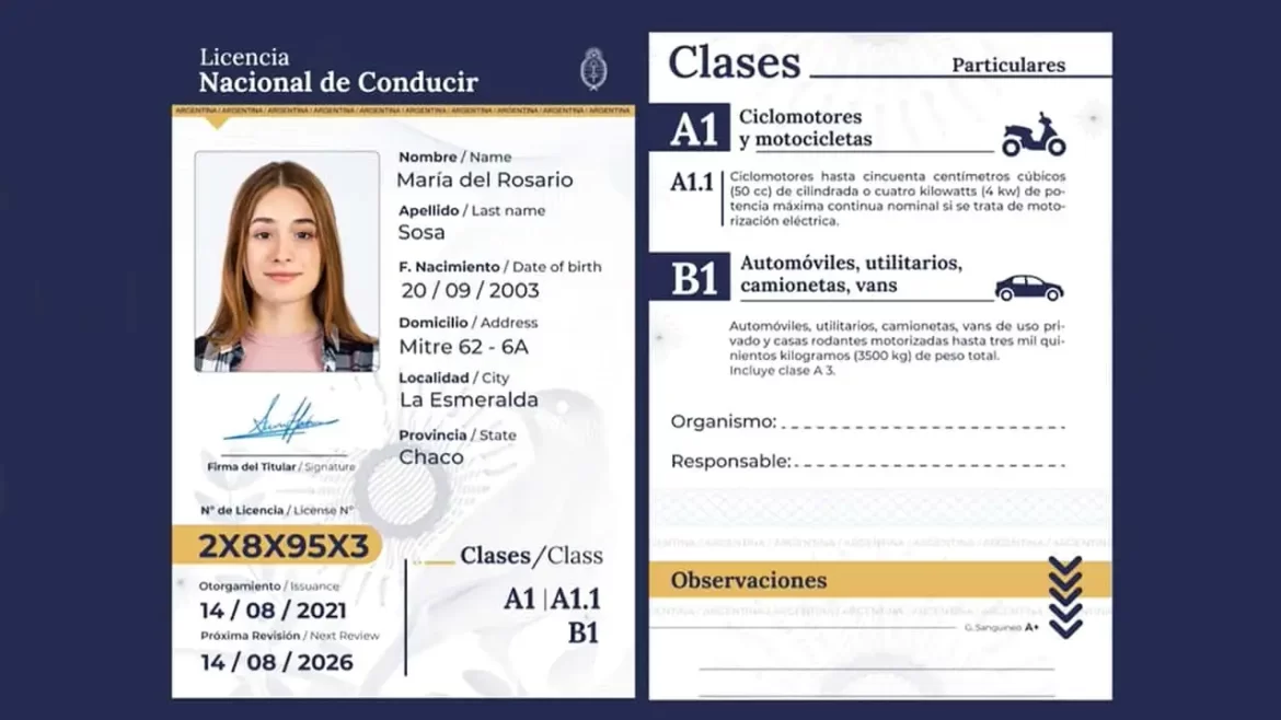 Desde hoy rige la nueva Licencia de Conducir Digital: cómo es el trámite online desde La Pampa