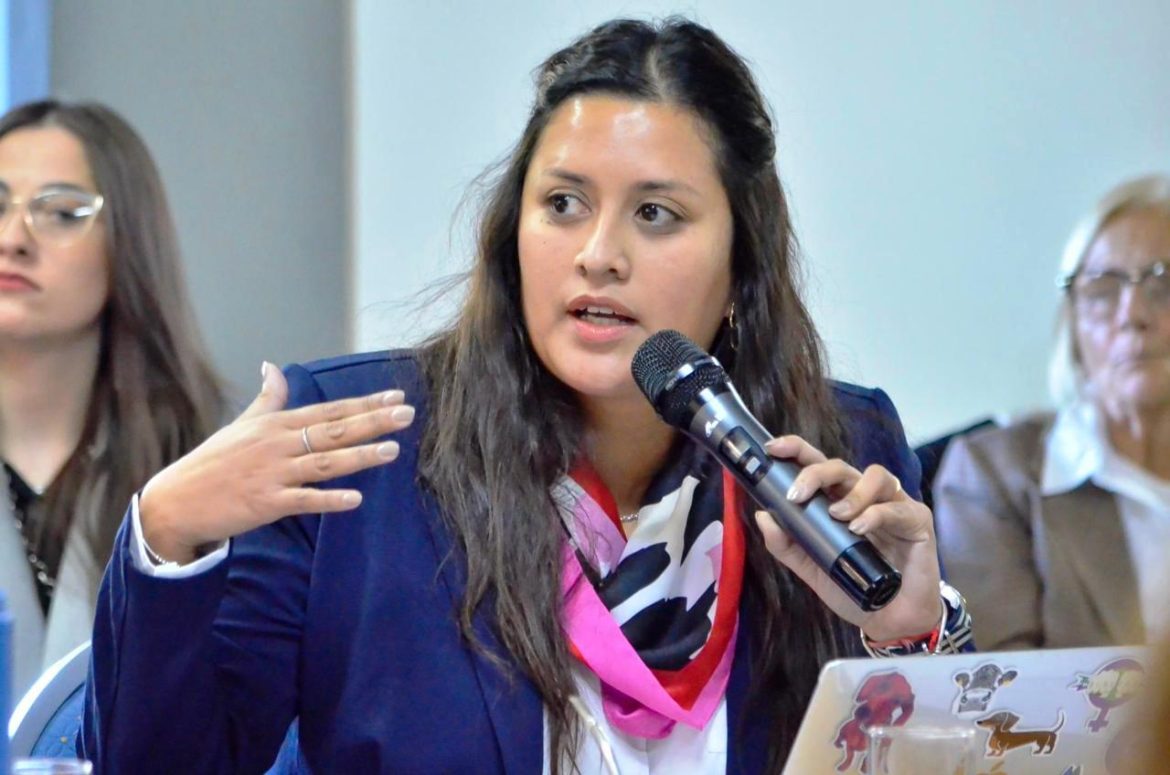 Una diputada del Pro le bajó el pulgar al proyecto de su bloque para derogar el cierre dominical: “No va a salir”