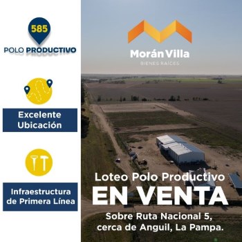 Moran Polo