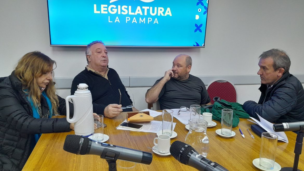 No dictaminaron por El Medanito: “No sabemos aún si es o no un data room”, dice el vernismo