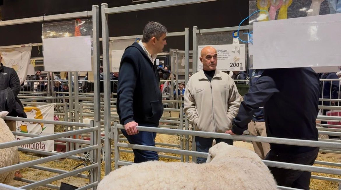 Bensusan estuvo en La Rural de Palermo y reclamó por la Ley Ovina
