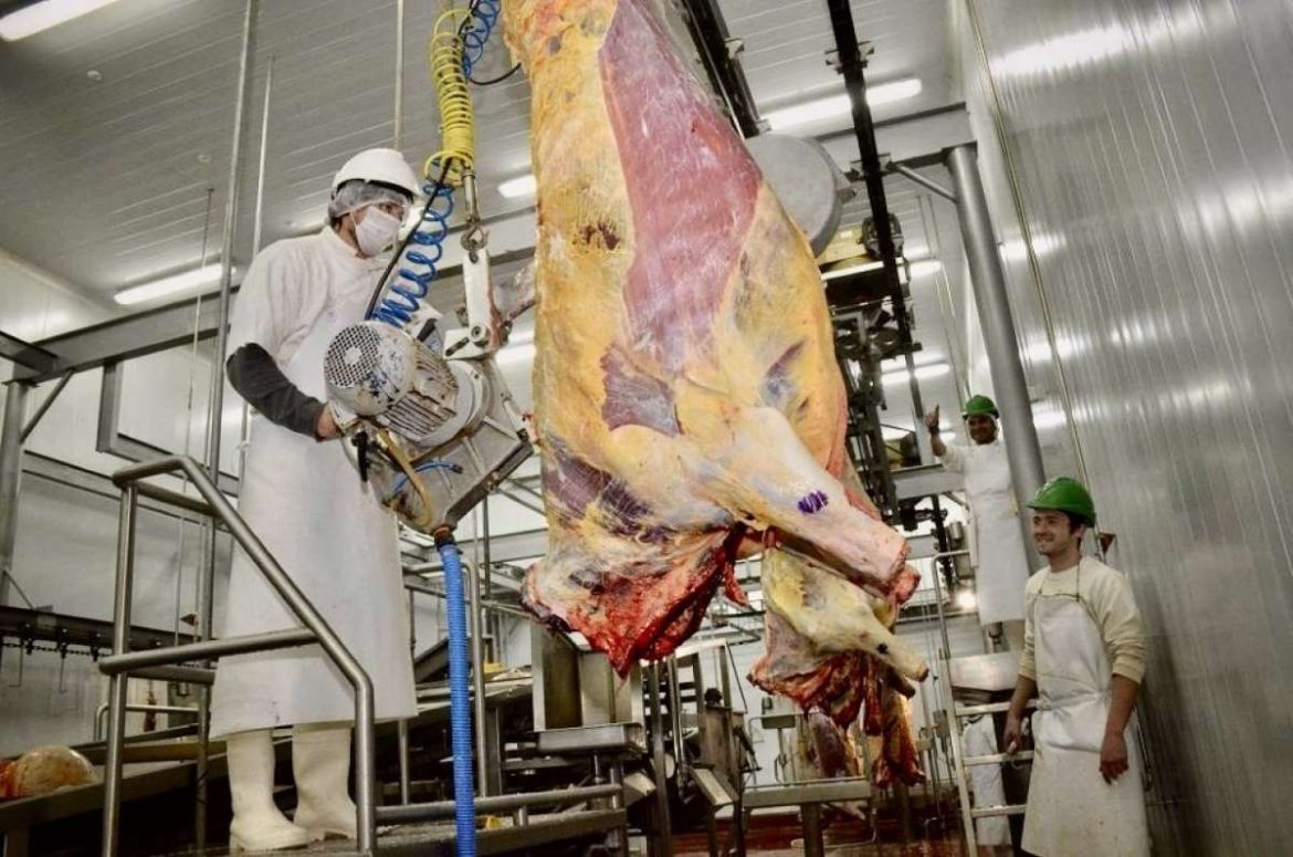 Subió entre un 12% y un 15% la carne vacuna en Santa Rosa