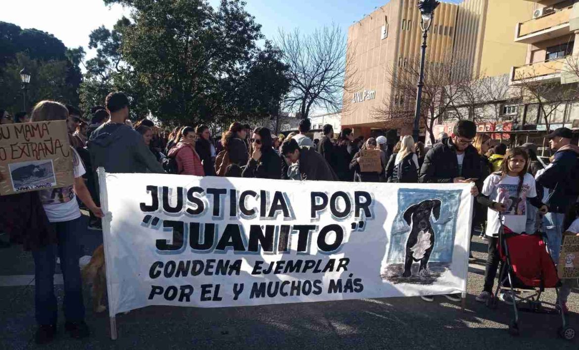 Manifestación en Santa Rosa para pedir justicia por Juanito, el perro secuestrado y hallado muerto