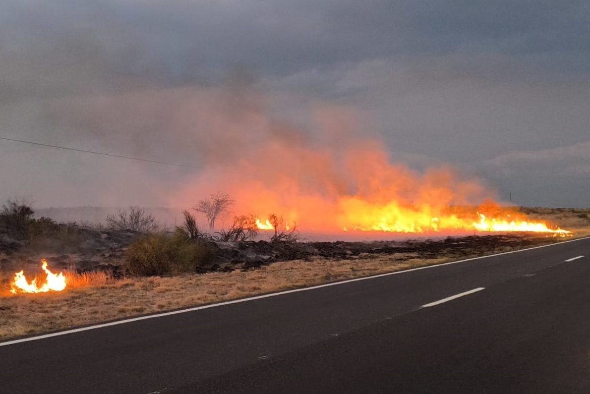 Un incendio afectó campos a la vera de la ruta 10, en cercanías del río Salado
