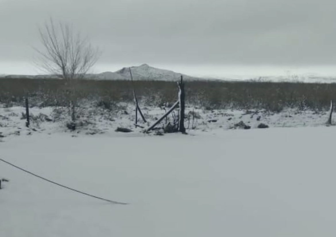 La Tormenta de Santa Rosa llegó con nieve al oeste pampeano
