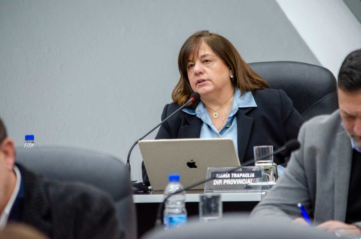 Cuatro diputados del Pro-MID apuntan a Viara y Rivas: deslizan que no votan El Medanito por motivos políticos partidarios