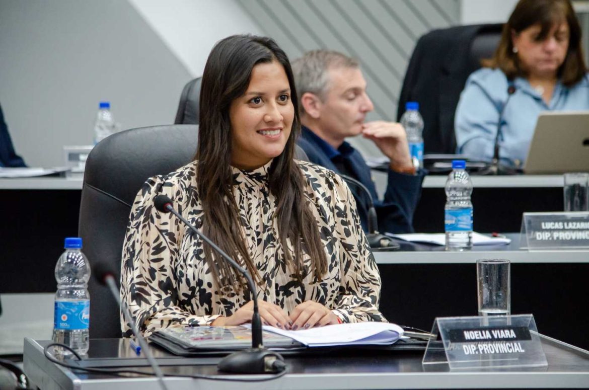 ¿Se rompe el Pro-MID a raíz de El Medanito? “Nunca fue una opción irnos del bloque”