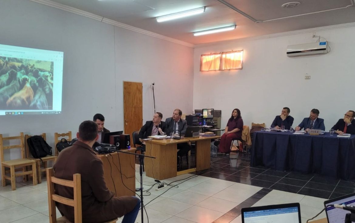 Comenzó en Acha el debate por un caso de abigeato de 38 vacunos: hay 8 imputados