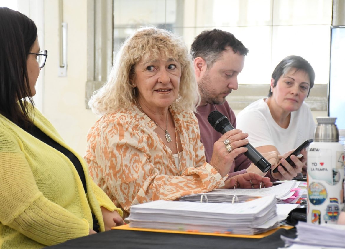 Concejala radical contra la CPE y ¿a favor de Clarín?: “Ahora se les viene la noche”