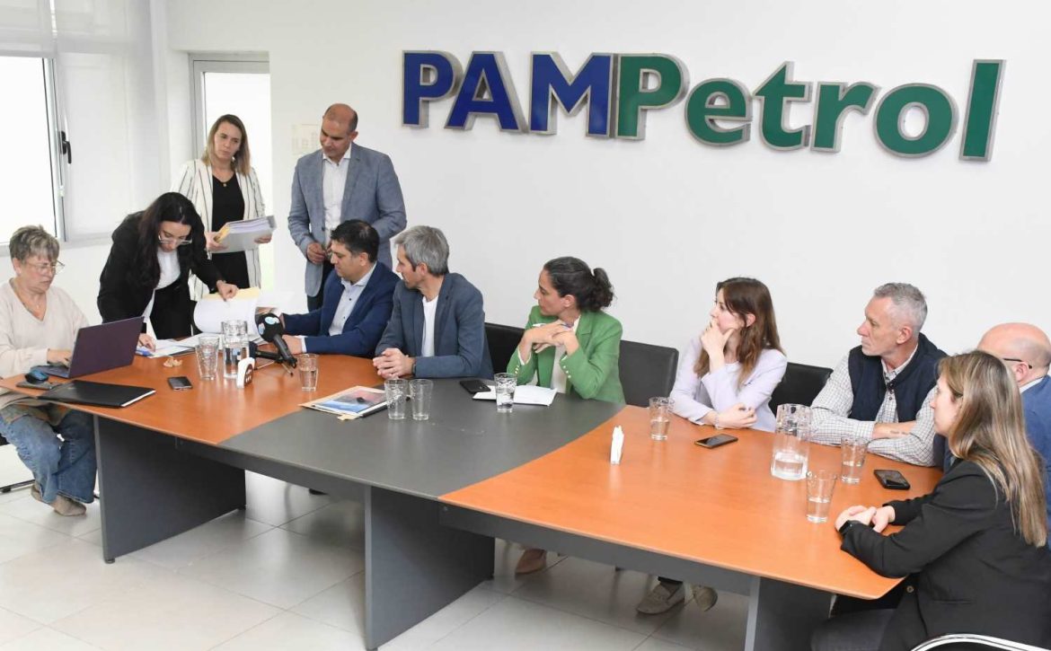Cimepro se quedó con el contrato para hacer el parque solar de Pico