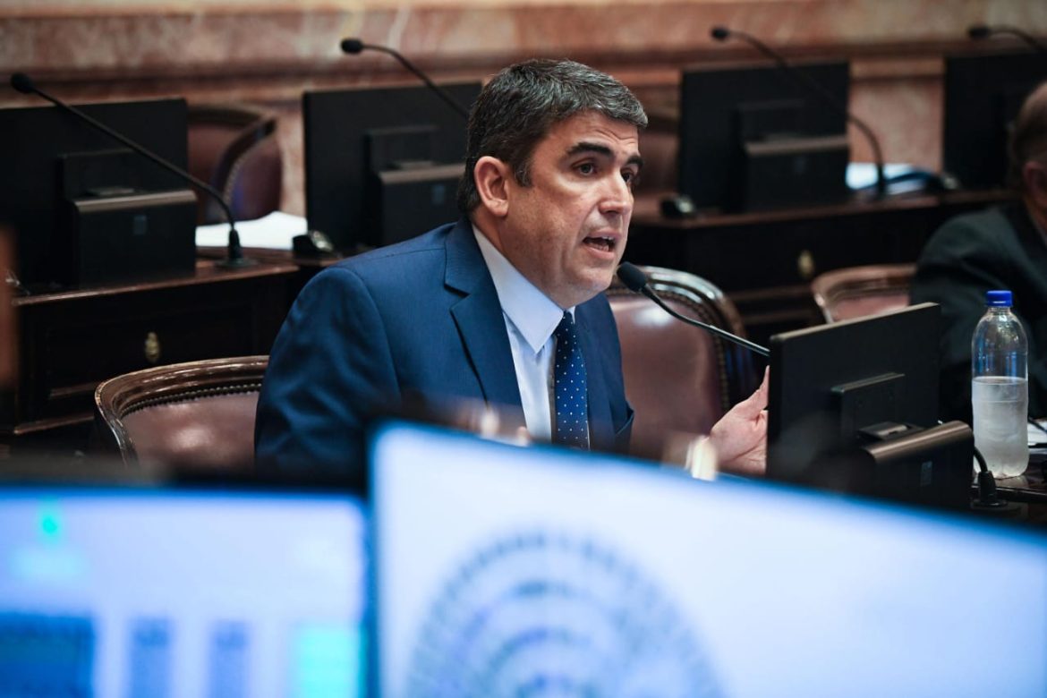 Bensusán votó contra los vetos de Milei: “no es un debate ni fiscal ni contable sino moral”