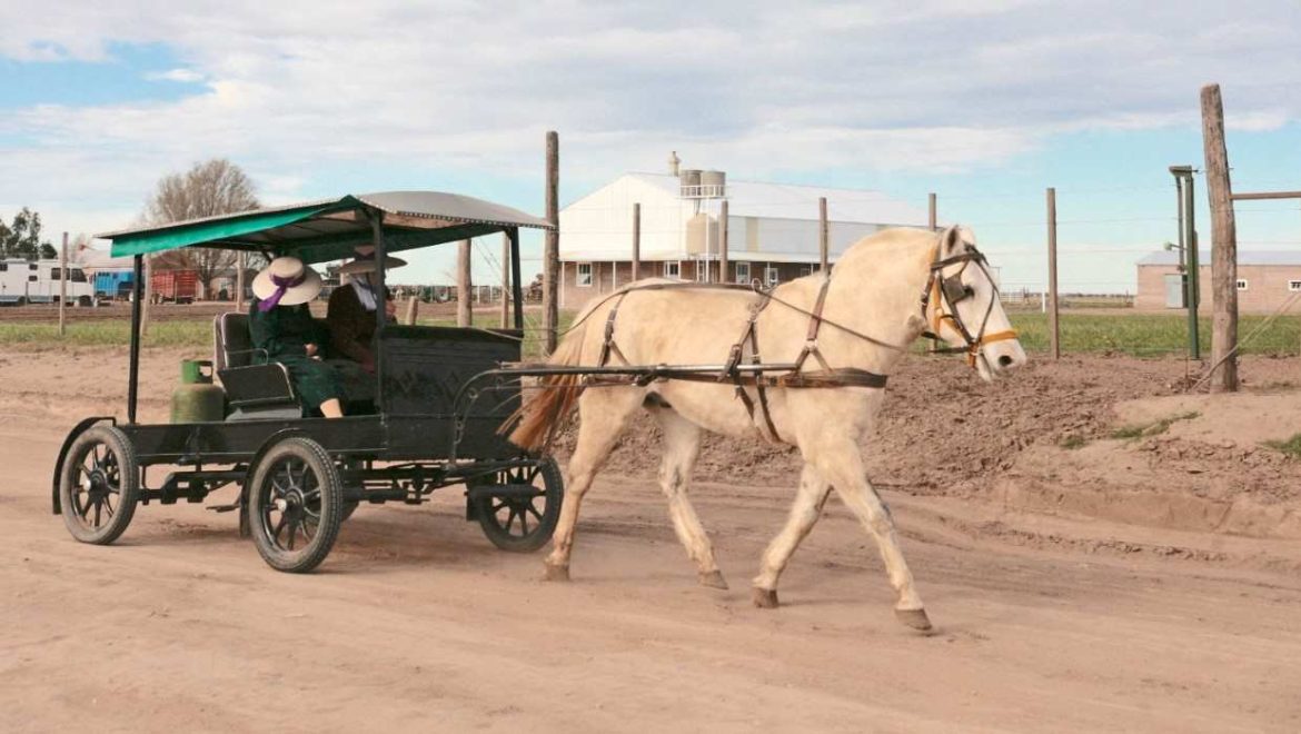 Colonia Menonita “La Nueva Esperanza”: un lugar que combina tradición y sabores en La Pampa