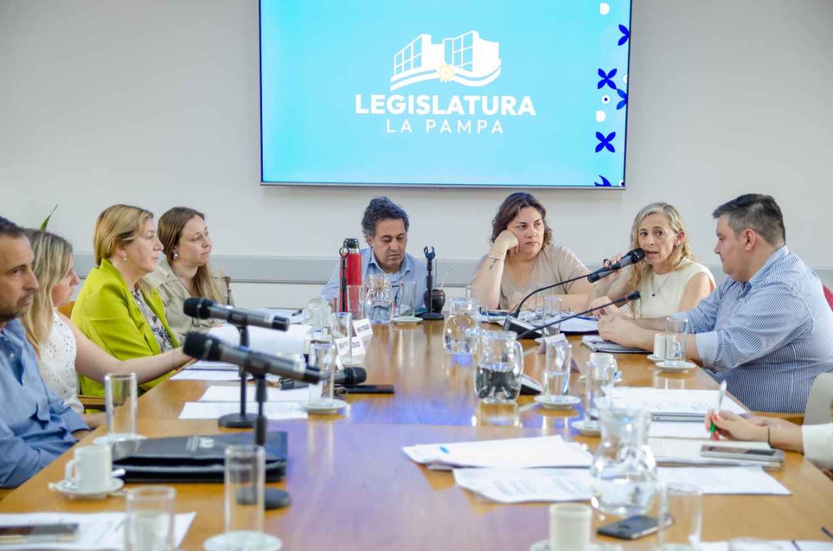 Intenso debate en la Legislatura sobre el derecho a la desconexión digital de los docentes pampeanos