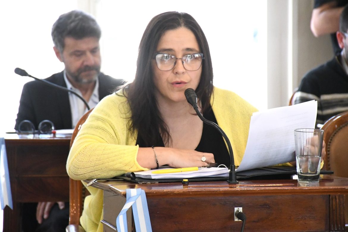 Concejala del Pro lamenta el pase a archivo de los proyectos de Clarín y cuestiona la falta de debate y planificación