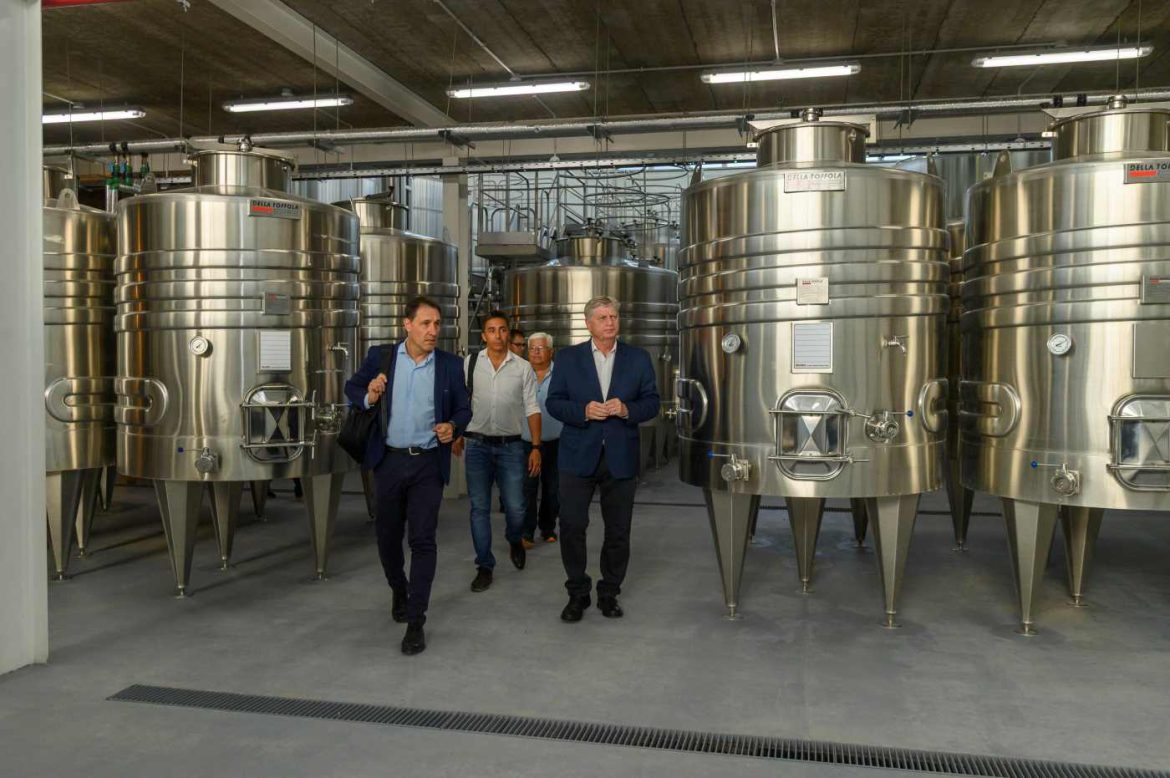 Casa de Piedra: la bodega entrará en producción en febrero con la vendimia 2026