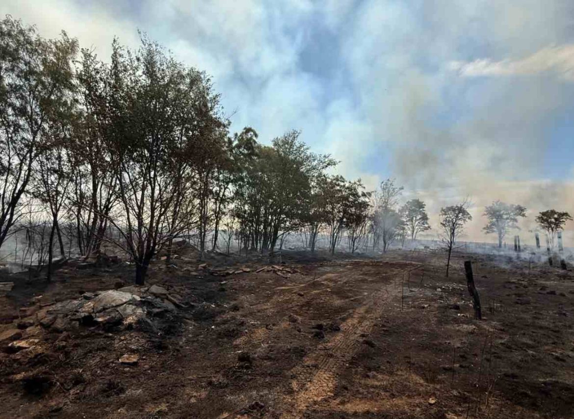 Bomberos y brigadistas combaten un incendio de campos cercanos a la Escuela Agrotécnica de Santa Rosa