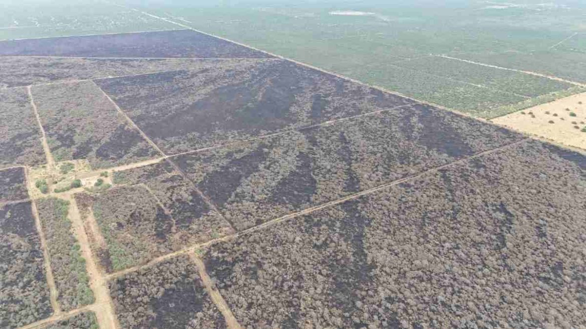 Incendios: “La mayoría de los productores hace bien las cosas”, dijo Ziliotto y la Agrícola lo cruzó
