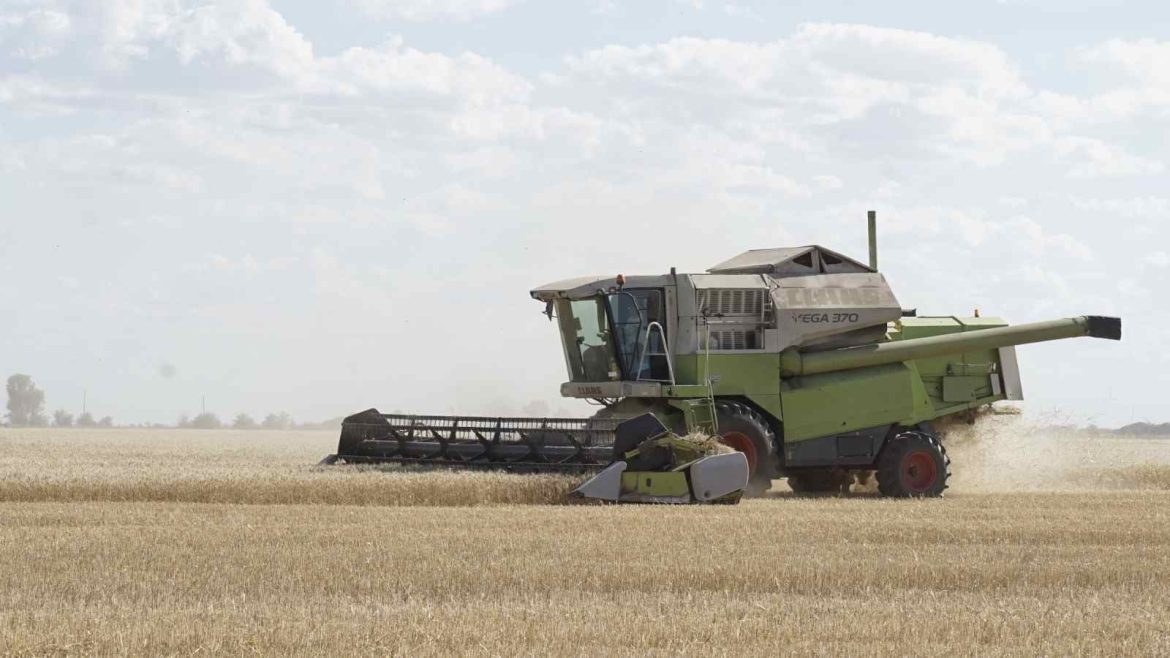 La Pampa cierra una campaña de fina histórica, con récords en producción y rendimientos