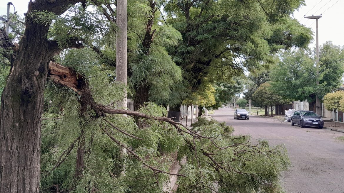 Tormentas fuertes en La Pampa: viento provoca destrozos en Toay y Santa Rosa