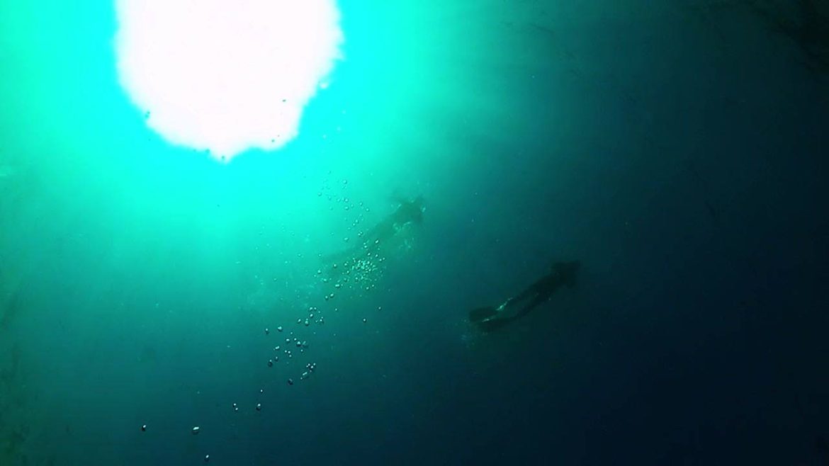 Puerto Madryn: buscan a una joven turista que practicaba buceo y desapareció