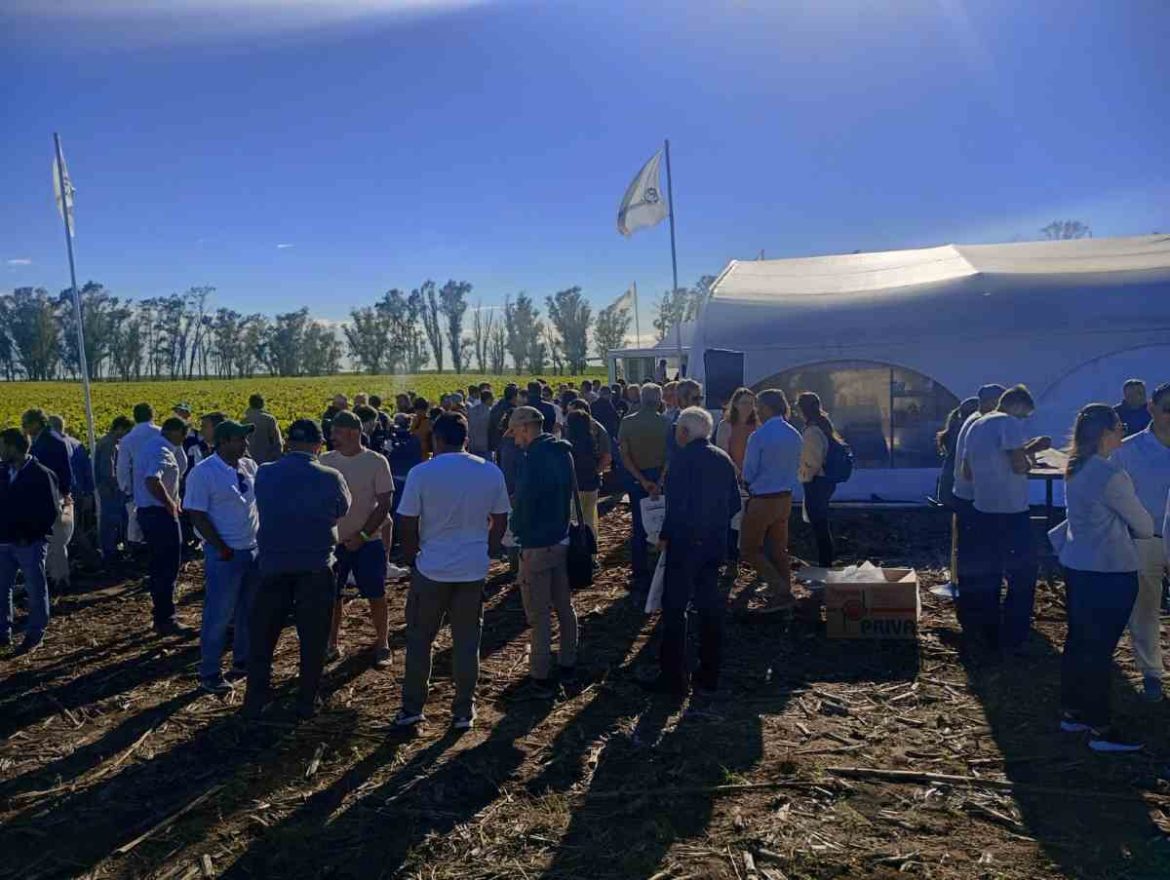 Con Gente de La Pampa, la agroindustria pampeana mostró sus buenas prácticas de manejo del suelo
