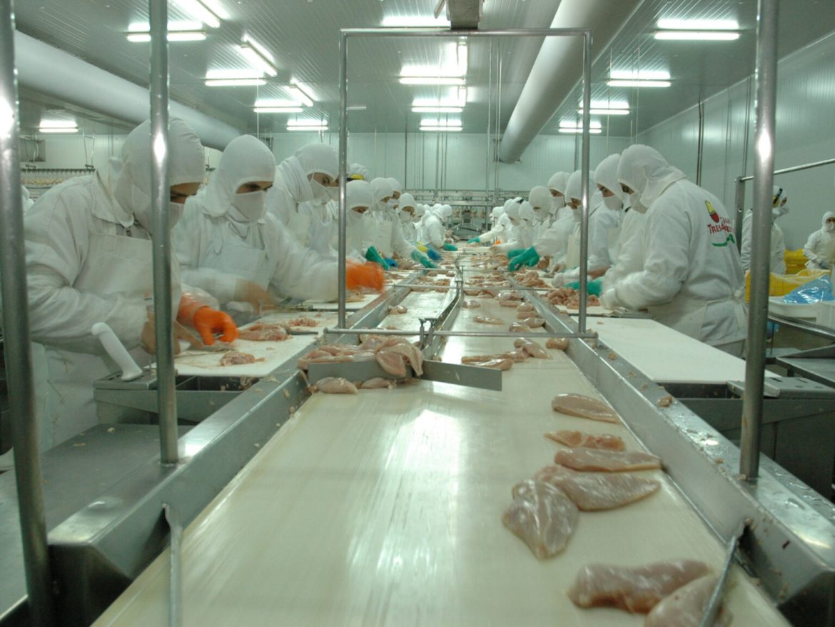 Granja Tres Arroyos, el mayor frigorífico avícola del país, al borde del cierre: 450 empleos en riesgo