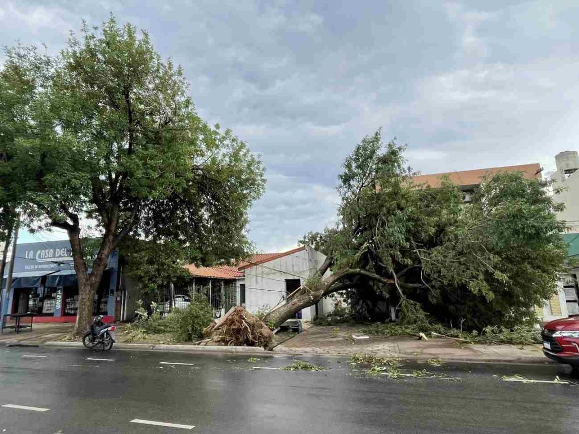 Temporal en Santa Rosa y la zona: ausencia justificada para los empleados públicos afectados
