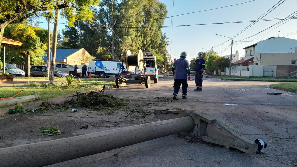 Santa Rosa, con decenas de árboles y columnas caídas: trabajadores intentan restablecer la luz y telecomunicaciones