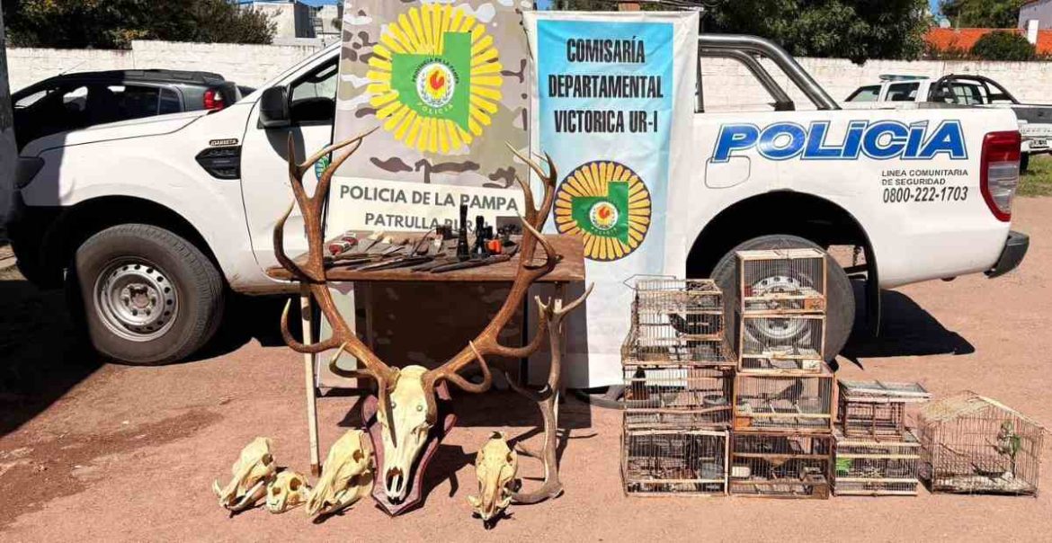 Megaoperativo rural en La Pampa: 7 allanamientos, 6 demorados y secuestro de armas y vehículos