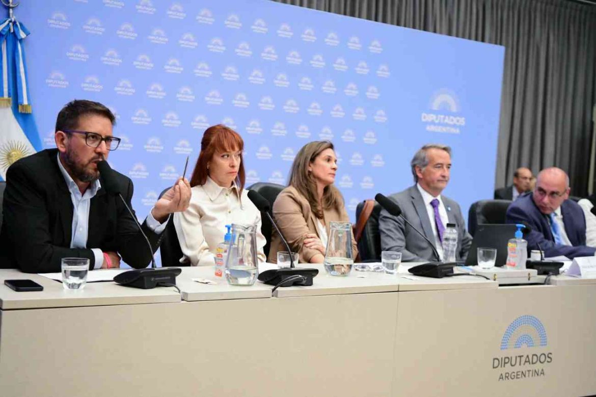Audiencias por la Ley de Glaciares: “Es un simulacro para legitimar un saqueo ambiental”, lanzó Pérez Araujo en Diputados