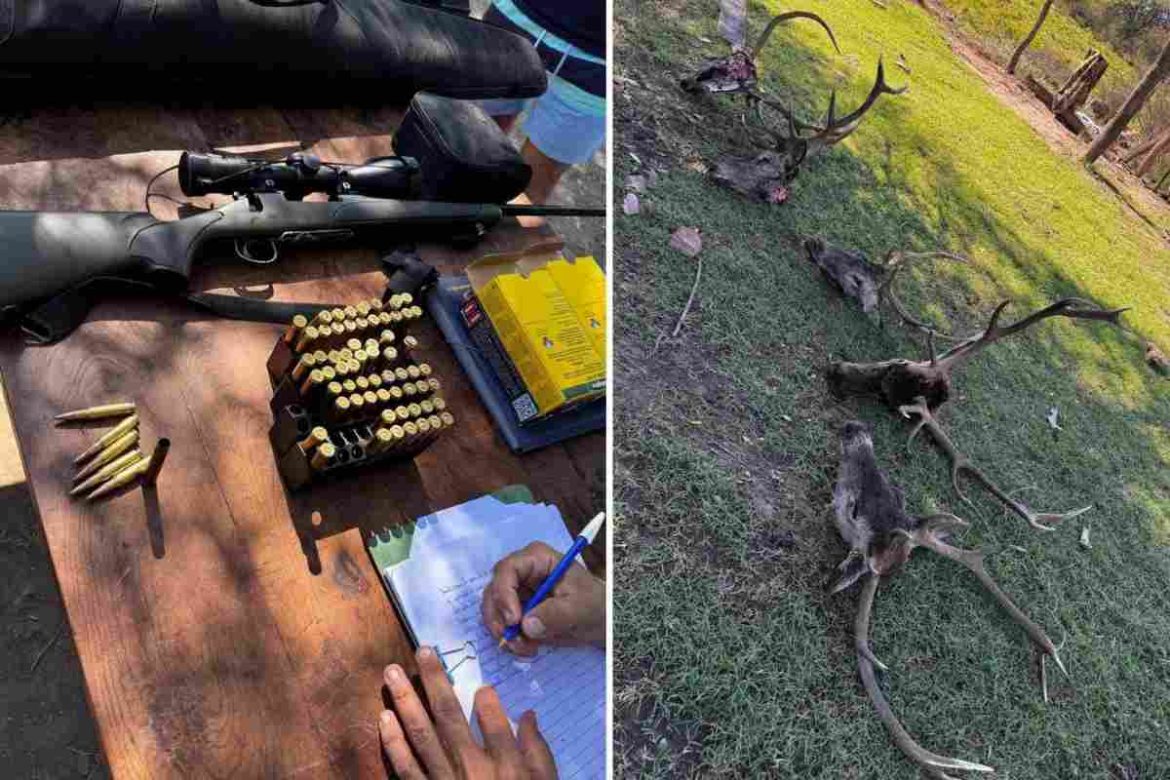 Allanamiento en Telén: investigan organización de caza ilegal y secuestran armas y piezas