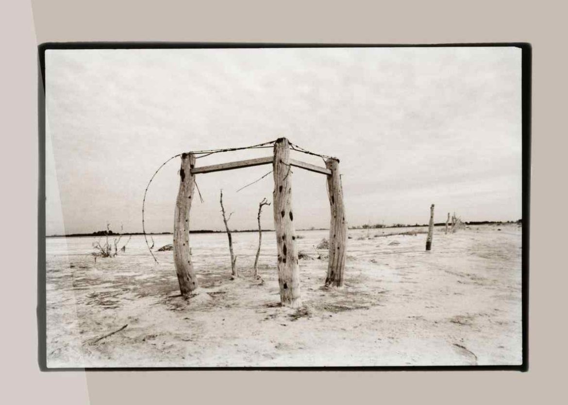 Editorial Voces presenta “La Cruz del Sur” en el salón Los Pioneros