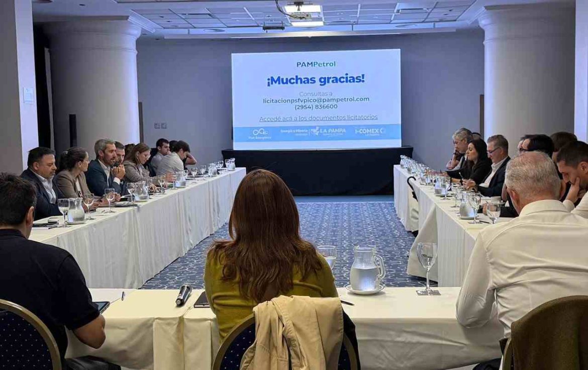 Energía Solar: empresas líderes del sector miran a La Pampa para invertir