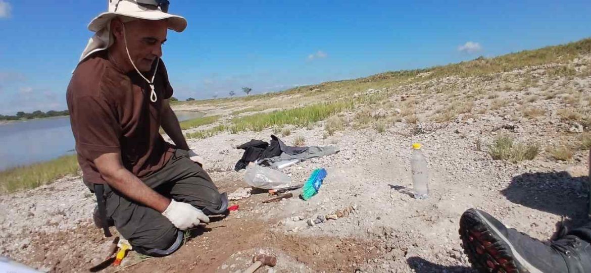 Ahora rescataron fósiles de gliptodontes y otros mamíferos de al menos 5 millones de años en Rolón