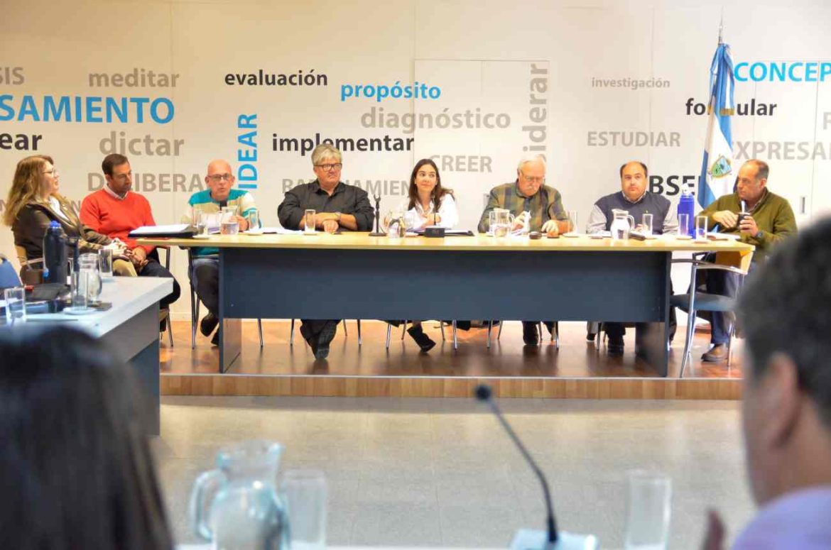 Campo y familia en crisis: avanza el debate por la nueva ley de fraccionamiento en La Pampa