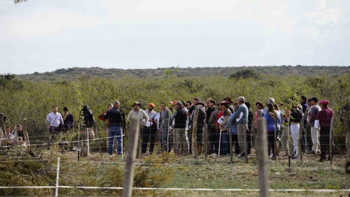 Jornada para acercar soluciones a los desafíos productivos en campos de Puelches y Duval