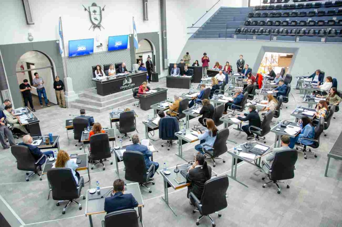 La Legislatura aprobó la emergencia en Salud Mental en La Pampa: “Hay que actuar”