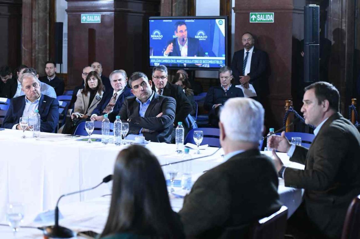 Biocombustibles: Bensusán y empresarios advirtieron que peligran las plantas de Catriló y General Pico