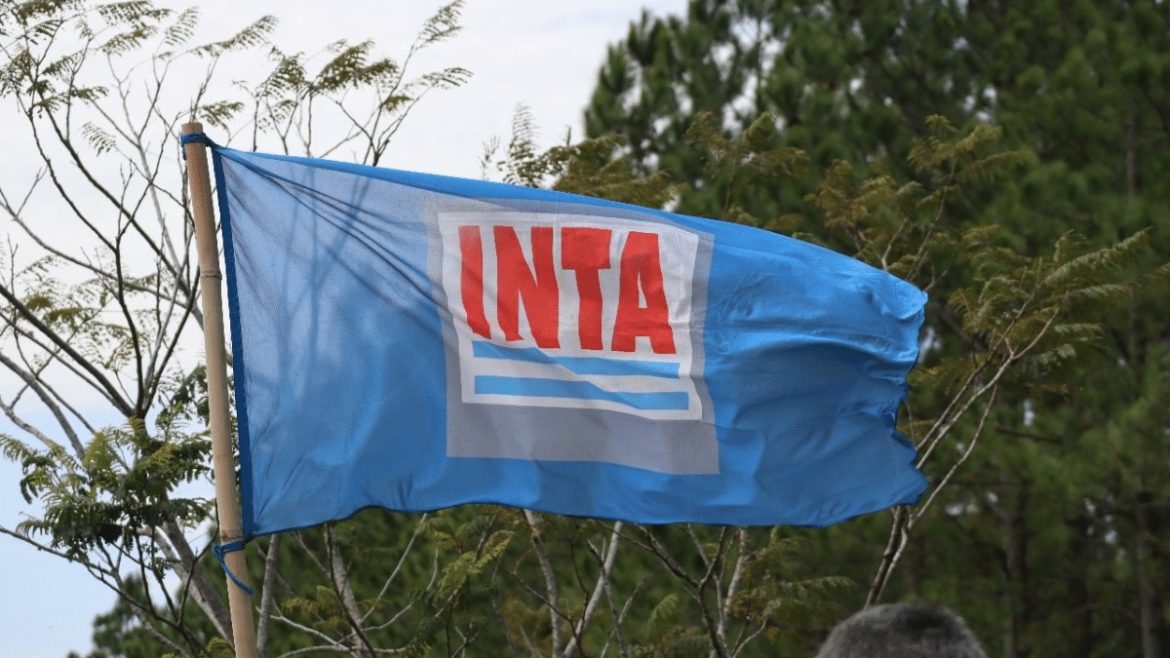 Recorrieron la agencia del INTA en 25 de Mayo y advirtieron sobre el impacto del desfinanciamiento nacional