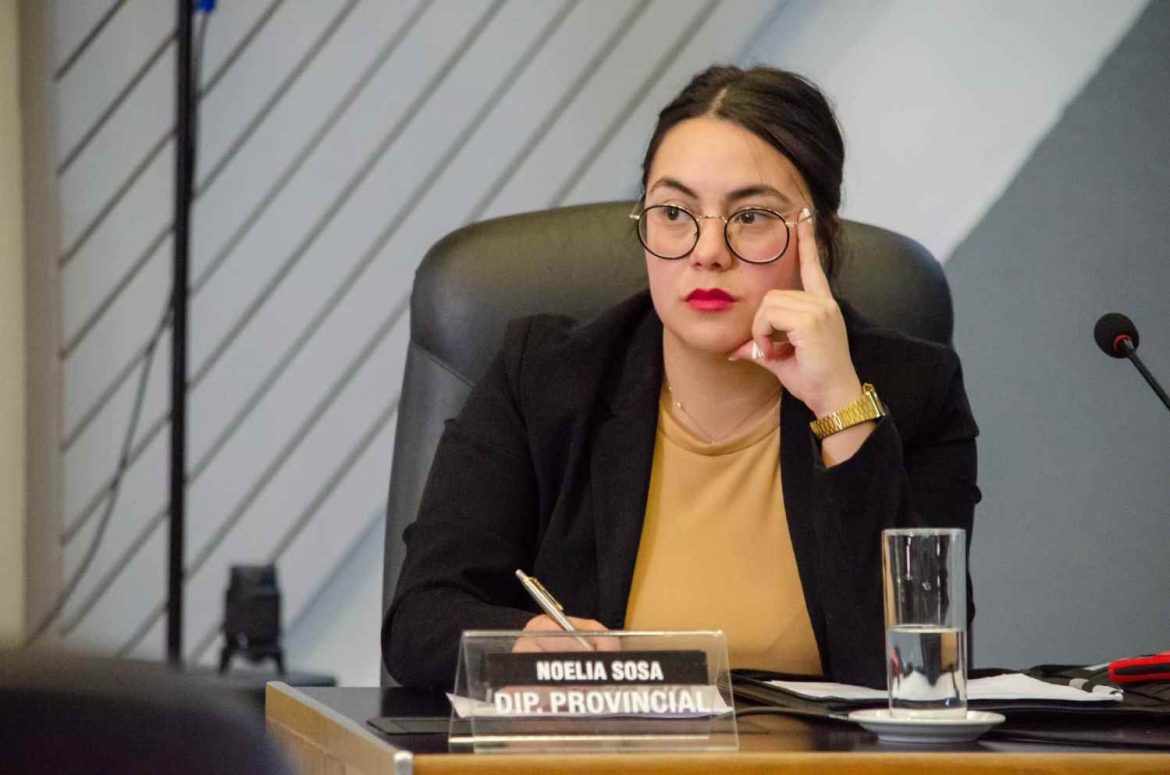 El Medanito: ministros de Ziliotto sugieren que Sosa se presta a “intereses políticos” de Verna