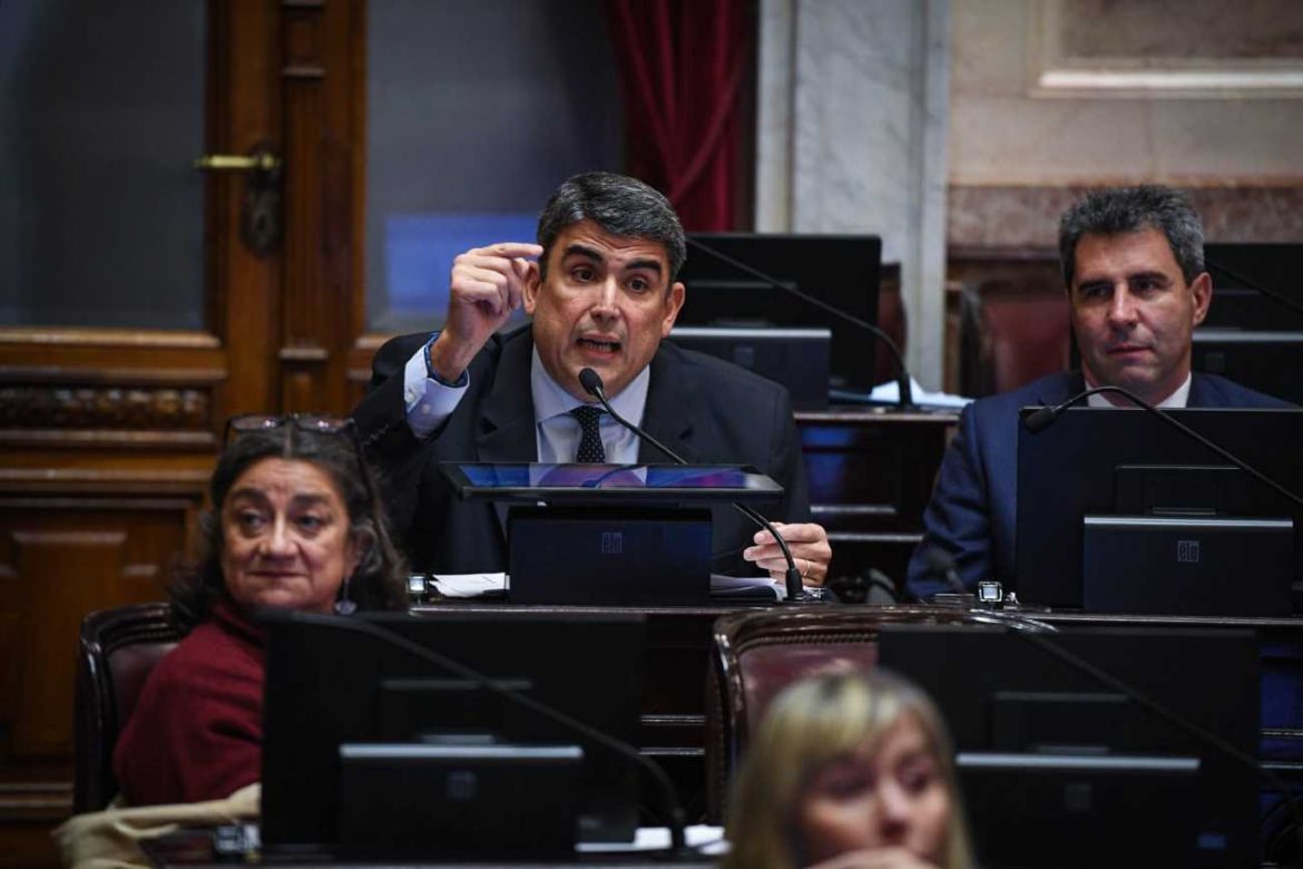 Bensusán llamó “mamarracho” al texto sobre propiedad privada de Milei