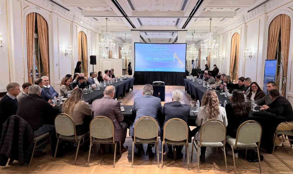 El Gobierno presentó El Medanito como oportunidad de inversión ante 17 empresas energéticas