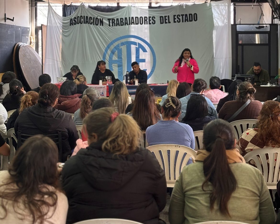 Enfermería y Ayudantes de Enfermería resolvieron una jornada provincial de lucha para el 19 de octubre