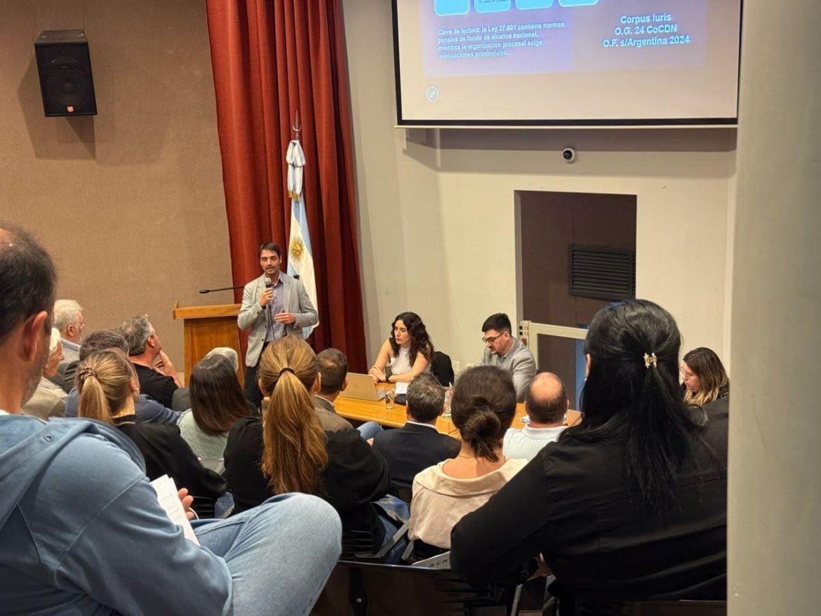 “La lógica del derecho penal juvenil es educativa y no adulcéntrica”
