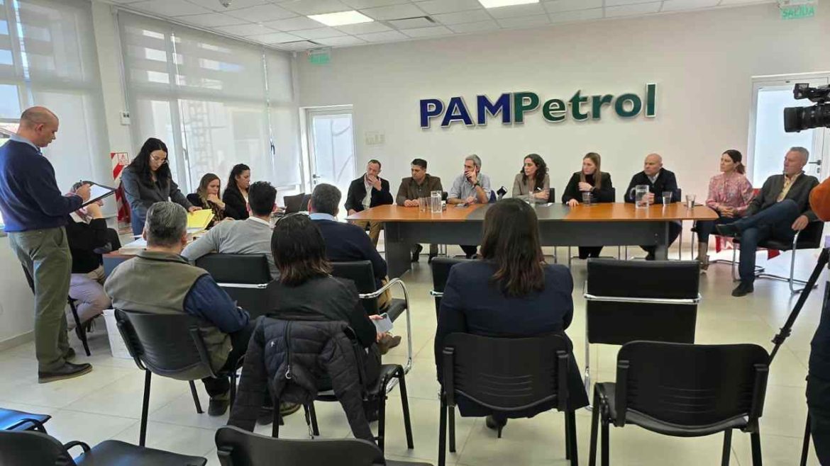 Dos grupos empresarios ofrecieron invertir USD 25 millones en el Parque Solar de Pico