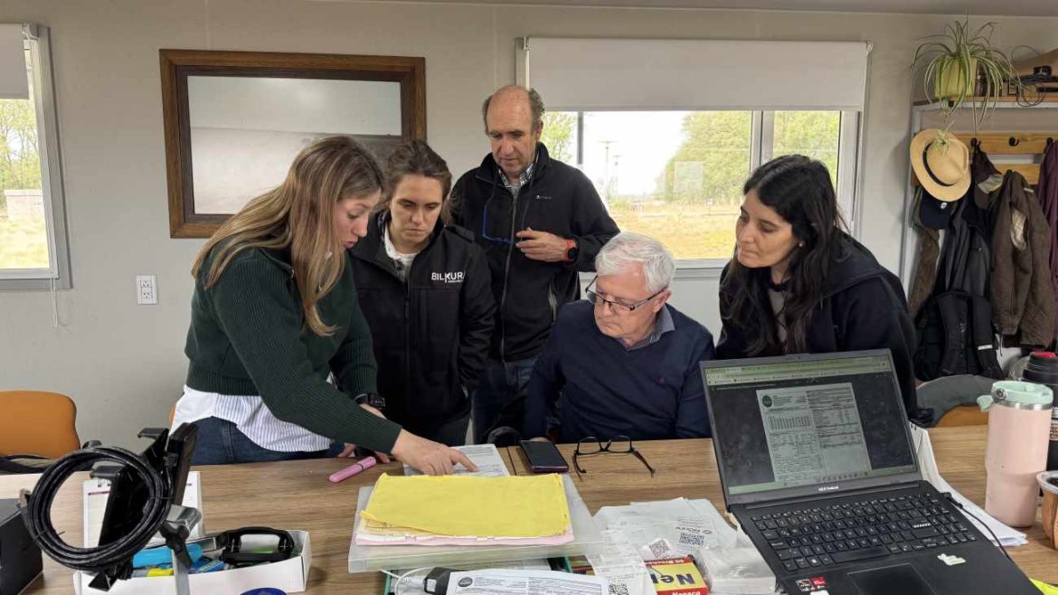 Generación distribuida en territorio: jornada de energías renovables en Quemú y Relmo