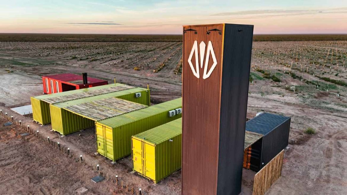Ruka Kurá en Casa de Piedra: avanza la plantación de pistachos y el desarrollo de un vivero propio